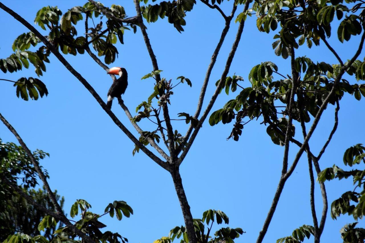 Vila Dos Cristais Alto Paraiso de Goias Ngoại thất bức ảnh