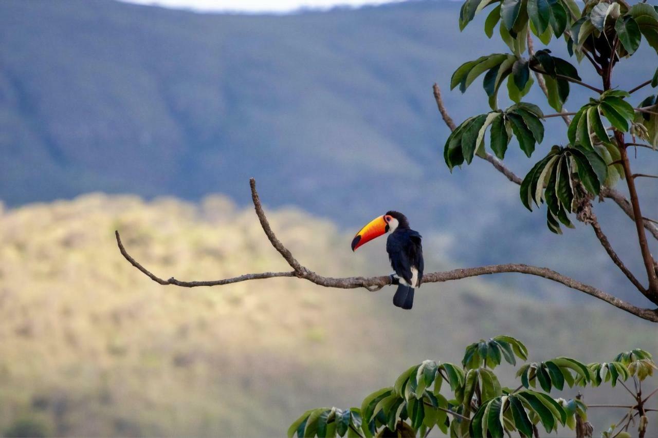 Vila Dos Cristais Alto Paraiso de Goias Ngoại thất bức ảnh