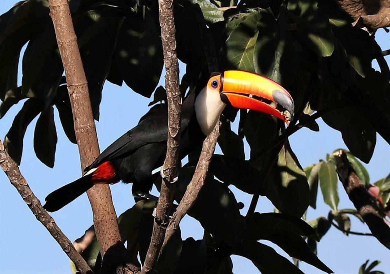 Vila Dos Cristais Alto Paraiso de Goias Ngoại thất bức ảnh